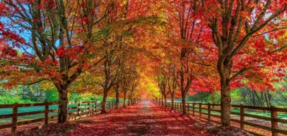 optimal hvac thermostat settings for the changing seasons - Island Airco